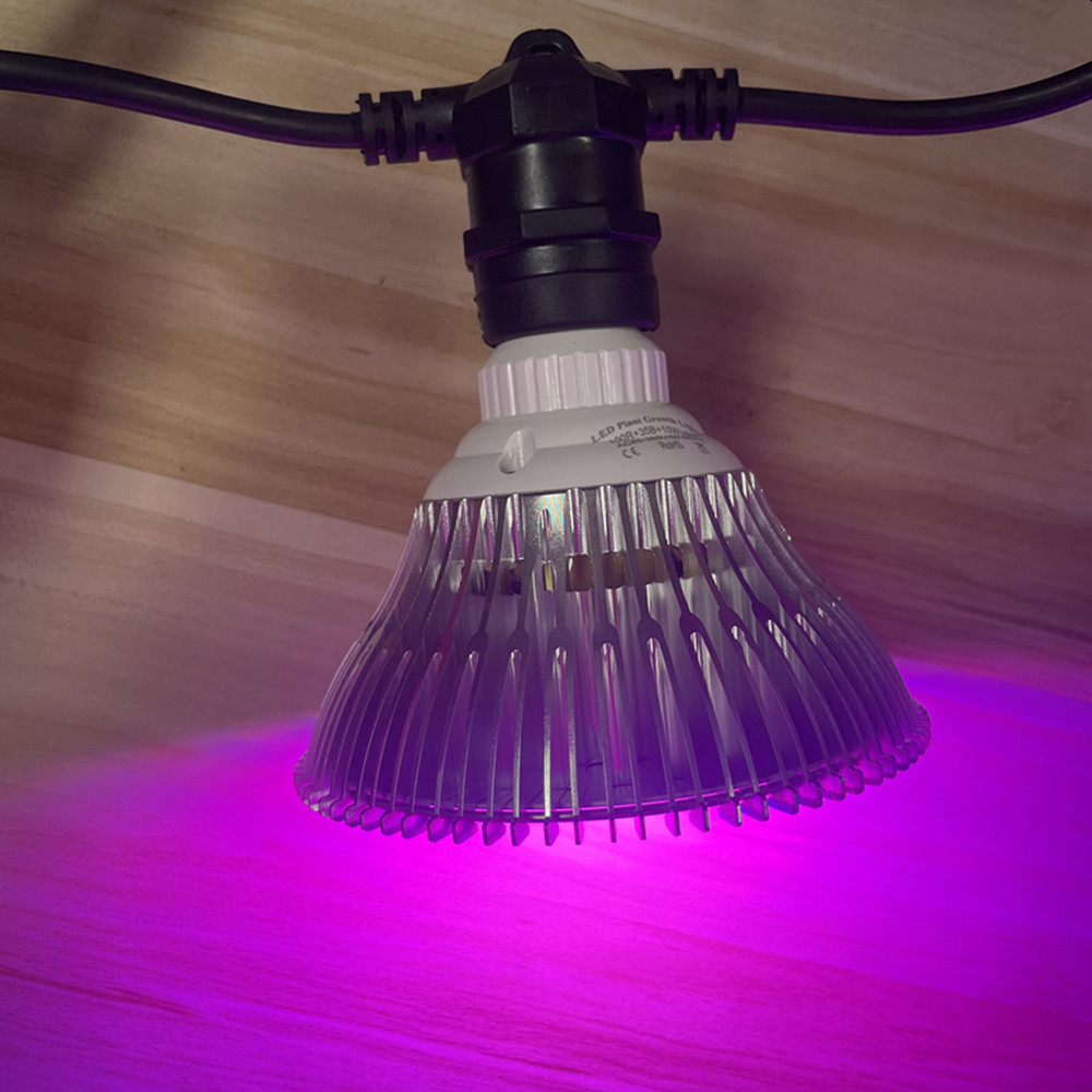 10M Kablo LED Dize Işık Zincir - Lighting Wedding Outdoor incelemesi ve fiyatı